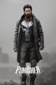 The Punisher: One Last Kill